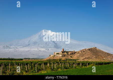 Avis de Khor Virap église avec en toile de fond la montagne d'Ararat, l'Arménie. Banque D'Images