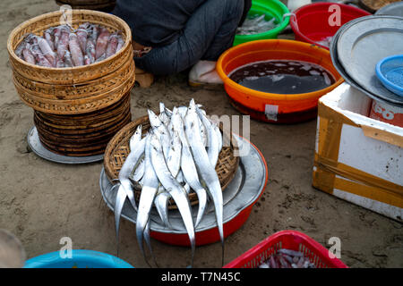 Un plateau de bambou tressée pleine de petits poissons fraîchement pêchés sur une plage de se préparer pour le marché local de gros dans une plage de Da nang, Vietnam Banque D'Images