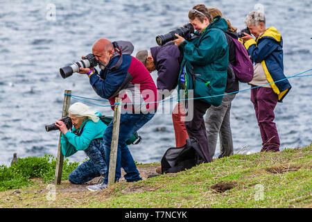 Groupe de photographes de prendre des photos d'oiseaux de mer sur l'Iles Farne, Northumberland, Angleterre. Mai 2018. Banque D'Images