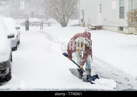 Jeune femme se pencher en pelage d'hiver, le pelletage de nettoyage de rue allée dans la neige Tempête de neige lourde avec pelle par des habitations et des voitures par Banque D'Images