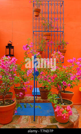 Santo Domingo, République dominicaine -2013-11-11 : patio d'un restaurant sur la calle el conde à ciudad colonial - Banque D'Images