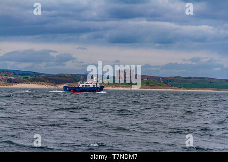 Château de Bamburgh et l'ancien bateau de pêche en prenant les touristes de Wooler aux îles Farne à regarder pour les oiseaux et les phoques, Northumberland, Angleterre. Mai 2018. Banque D'Images