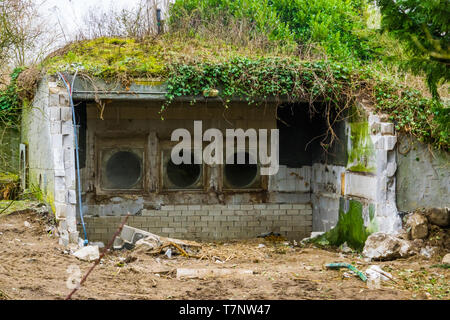 Vieux bâtiment démoli avec le toit recouvert de gazon et de plantes Banque D'Images