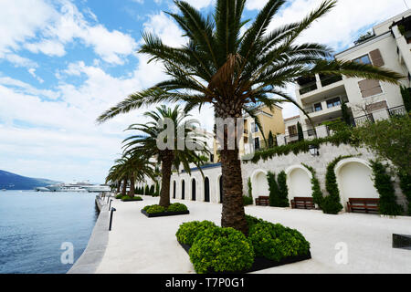 Promenade maritime à Porto Monténégro - immobilier haut de gamme avec un bateau yacht de plaisance. Banque D'Images