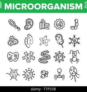 Les cellules des microorganismes fine ligne Icons Vector Set. Les virus, bactéries, organismes unicellulaires, les protozoaires Illustrations linéaire. Cocci et Bacillus. Infecti Illustration de Vecteur