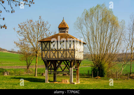 Ancien pigeonnier dans Allier, Auvergne-Rhone-Alpes, France Banque D'Images