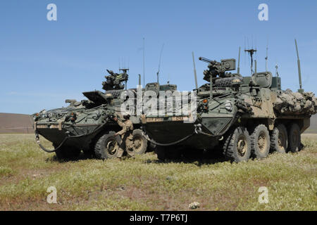 Centre de formation de Yakima, Washington - véhicules blindés provisoire étape dans un espace commun en préparation pour un manuever tactique militaire interarmées à 19 d'évaluation, le 4 mai 2019 ici. JWA 19 s'agit d'une modernisation à grande échelle, étaient des unités participantes peuvent améliorer leur état de préparation alors que l'intégration et à l'évaluation des concepts innovants et des capacités dans un environnement opérationnel difficile. (U.S. Photo de l'armée par la FPC. Valentina Y. Montano, Mobile 302e Détachement des affaires publiques) Banque D'Images