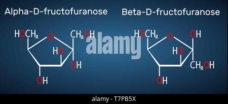 Le fructose, alpha-D-fructofuranose, bêta-D-fructofuranose molécule. La forme cyclique. Formule chimique structurel sur le fond bleu foncé. Vector illustr Illustration de Vecteur