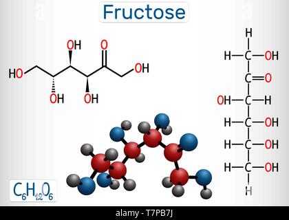 Le fructose, le D-fructose molécule. Forme linéaire. Formule chimique structurale et molécule modèle. Vector illustration Illustration de Vecteur
