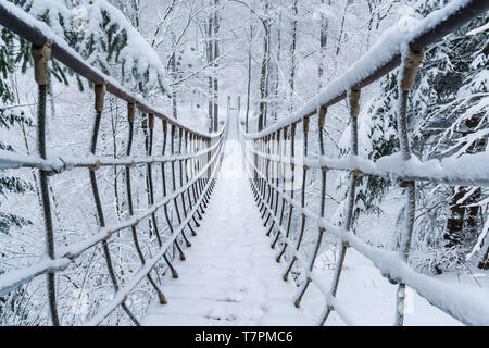 Dans la forêt hiver neige pend un pont de corde. Sapins enneigés bordent le chemin. De Pont le Rothaarsteig à Sauerland, Allemagne. Banque D'Images