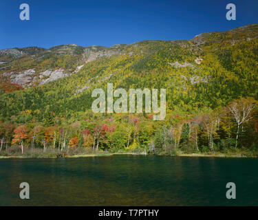 USA, New Hampshire, Montagnes Blanches, Crawford Notch State Park, le Mont Webster s'élève au-dessus de couleur automne forêt de feuillus du nord et de l'étang. Banque D'Images