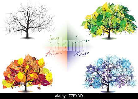 Les quatre saisons Illustration de Vecteur