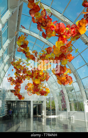 Seattle, Washington, USA, décembre, 15, 2015 : l'intérieur de l'atrium Chihuly incroyable montrant une belle œuvre d'art en verre soufflé et les pétales de fleurs ressemble à la Banque D'Images