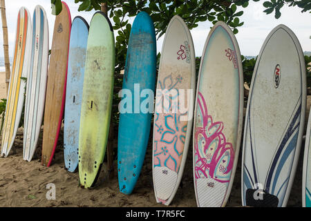 Un gros plan d'une rangée de plusieurs longues planches de surf couleur alignés pour embaucher sur une plage à Puerto Viejo de Talamanca au Costa Rica avec un ciel couvert à l'arrière-plan, aspect portrait Banque D'Images