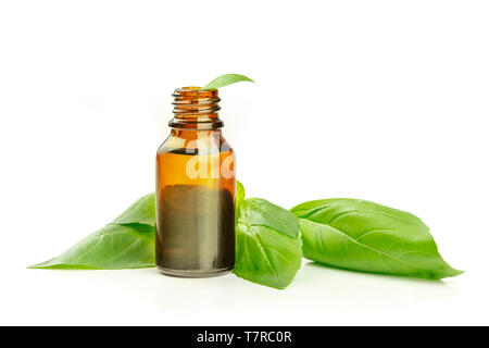 L'huile essentielle de basilic. Une bouteille avec des feuilles de basilic frais sur un fond blanc avec une place pour le texte Banque D'Images