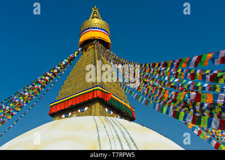 Stupa Boudhanath avec les yeux de Bouddha, Katmandou, Népal Banque D'Images