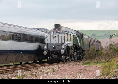 L'Aberdeen Flyer, tiré par LNER Classe A4 "Union de l'Afrique du Sud', passant d'un train Intercity ScotRail cap au sud à la station de Carmont Banque D'Images