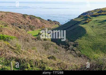 Kinever Valley et la bouche de Bennett, Bull Point, North Devon, UK Banque D'Images