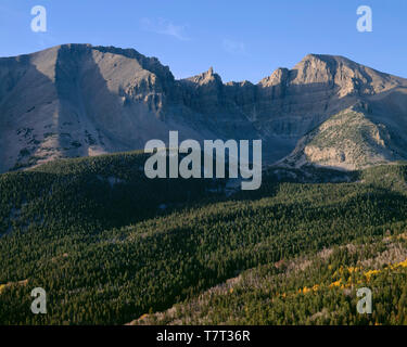 USA, Nevada, Parc National du Grand Bassin, Jeff Davis (à gauche) et le pic pic Wheeler (à droite) tour au-dessus de la forêt de conifères et tremble. automne dispersés Banque D'Images