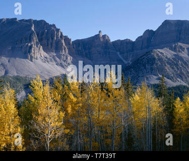 USA, Nevada, Parc National du Grand Bassin, les couleurs de l'automne de tremble sous Jeff Davis Peak (centre) et Wheeler Peak (à droite). Banque D'Images