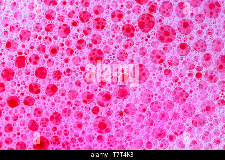 Mousse rose et de bulles. La texture de fond. Vue rapprochée de l'eau savonneuse iwth ton rose. Banque D'Images