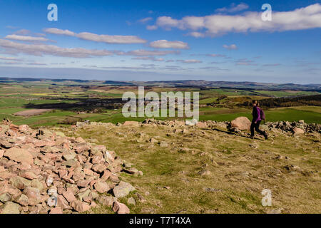 Un marcheur sur le sommet du Humbleton Hill dans le projet Cheviot Hills, parc national de Northumberland, Angleterre. Avril 2019. Banque D'Images