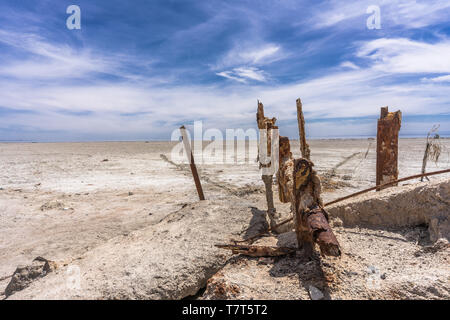 Seul dans la mer de Salton Californie Banque D'Images