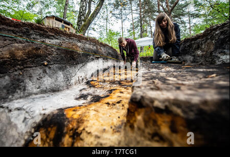 Bielefeld, Allemagne. Le 08 mai, 2019. Aileen Nowack, un étudiant de l'archéologie, et Nico Calmund, stagiaire à la LWL à Münster, creusent dans le camp romain excavé marsh. Les archéologues de la Landschaftsverband Westfalen-Lippe (LWL) ont découvert les restes d'un 2000 ans marsher marais romain dans le district de Sennestadt. Credit : Guido Kirchner/dpa/Alamy Live News Banque D'Images