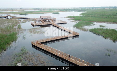 Beijing, Chine. Apr 26, 2019. Photo aérienne prise le 26 avril 2019 montre le lac Baiyangdian dans Xiongan nouveau domaine de la Chine du Nord, Province de Hebei. Credit : Zhu Xudong/Xinhua/Alamy Live News Banque D'Images