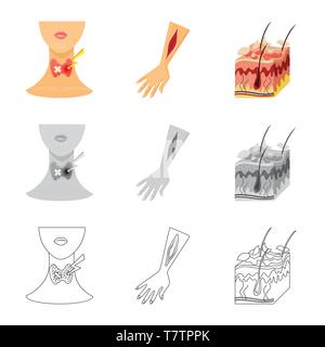 Les blessures de la peau,,,,Bras cou,épiderme adipeux,anatomie,sang,tissu,corps humain,,,traitement,thyroïde,interstitielle,cheveux,follicule,la,médical,glande,la douleur,la maladie,dermatologie,healthcare,set,icône,,illustration,collection,isolé,design,graphisme,élément,signe, vecteurs vecteur , Illustration de Vecteur