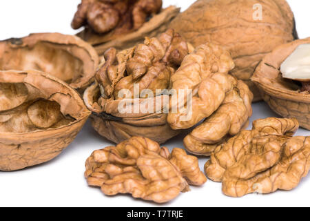 Groupe des cerneaux de noix décortiquées isolé sur fond blanc. Banque D'Images