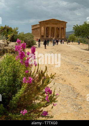 Temple of Concordia, Vallée des Temples, Agrigente, Sicile, Italie Banque D'Images