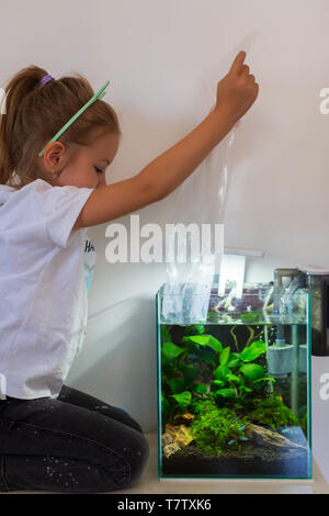 Happy little girl looking at a les jeunes poissons dans un aquarium avec des algues dans un aquarium Banque D'Images