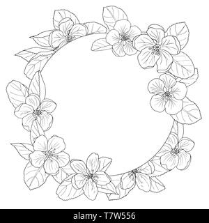 Apple Blossom magnifique cadre, coloriages pour enfants et adultes Illustration de Vecteur