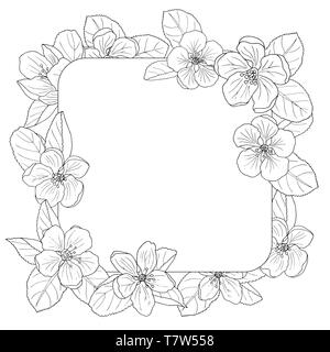 Apple Blossom magnifique cadre, coloriages pour enfants et adultes Illustration de Vecteur