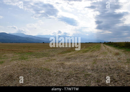 Vue sur le côté nord des montagnes de Fagaras. La Roumanie. Banque D'Images