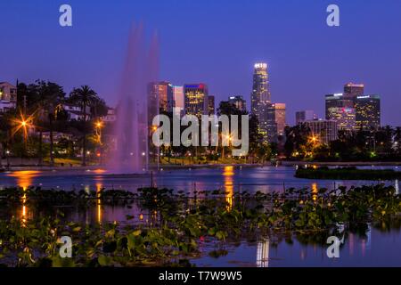 Voir l'horizon de Los Angeles à partir de la touffe de fleurs de lotus dans Echo Park Lake dans la nuit Banque D'Images