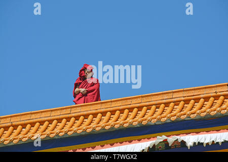 Voir d'un seul moine tibétain debout sur le toit d'un temple dans le Lbrang Houjiangli au monastère, Province de Gansu, en Chine. Banque D'Images