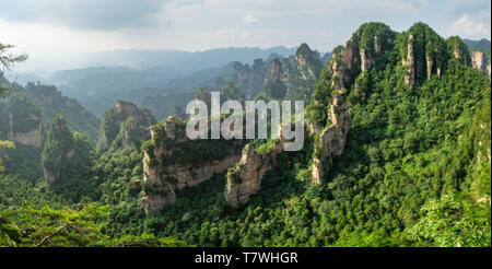 Paysage panoramique dans le parc forestier national de Zhangjiajie dans la province du Hunan, Chine Banque D'Images