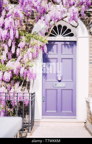 Maison à vendre à Chelsea, Londres, avec une porte et des glycines Banque D'Images