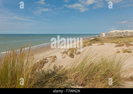 La France, Pas de Calais, Cote d'Opale, Merlimont, dunes Banque D'Images