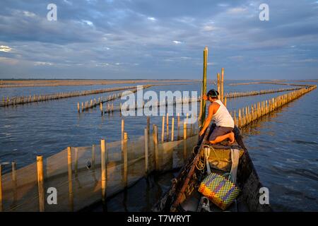 Vietnam, province de Thua Thien Hue, Tam Giang, pêcheur dans le lagon Banque D'Images