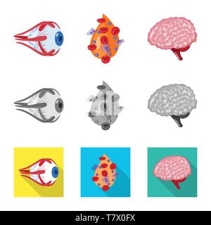 Globe oculaire,,sang,le cerveau,oeil,plasma,esprit cornée,cell,veille stratégique,couches,couvrir,science,don,structure,psychologie,maladie,vue,génie,Protection,moteur,pericranium,pression,traitement,gyrus,wit,génétique,infection prophylaxie,réflexion,biologie,scientifique,recherche,,laboratoire anatomie,organe interne,,médical,des,santé,,set,icône,,illustration,collection,isolé,design,graphisme,élément vecteur vecteurs,signer , Illustration de Vecteur