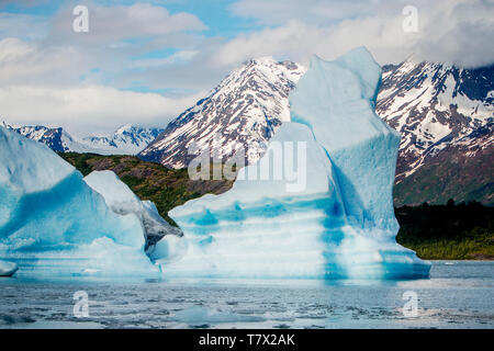 La Knik Glacier en Alaska. Manque de neige exposer les cendres retombées de la redoute à proximité de volcan, la réduction de l'effet albédo. Il y a des milliers de glaciers en Alaska, et au moins 616 d'entre eux sont nommés. Ensemble, ils sont en train de perdre 75 milliards de tonnes de glace chaque année en raison de la fonte. Ce chiffre est susceptible d'augmenter dans les années à venir. Mai 2015 a été la plus chaude en 91 ans. La couleur bleue est naturellement produit, mais est renforcé par underexposing l'image. Banque D'Images