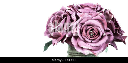 Bouquet de roses violettes sur fond blanc. Banque D'Images