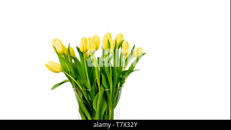 Bouquet de tulipes jaunes dans un vase isolé sur fond blanc. Banque D'Images