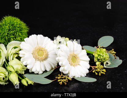 Les gerberas blancs et d'autres bouquets de fleurs sur fond noir. Utilisé pour les cartes de vœux et les fleurs de sympathie ou de condoléances. Banque D'Images