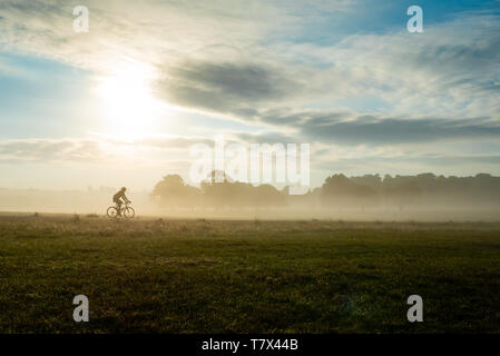 Un cycliste solitaire dans la brume de l'aube chevauchant un champ avec le soleil brille dans Richmond Park Banque D'Images