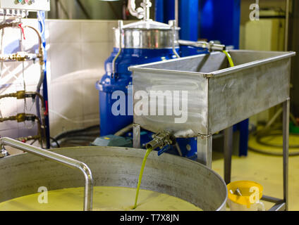 La récolte des olives en Crète Grèce à partir de la cueillette des olives au moulin à huile pour olives en appuyant sur l'huile d'olive Banque D'Images