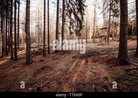 Forêt de conifères automnales dans les montagnes Harz avec vue sur le siège haut pour la chasse Banque D'Images